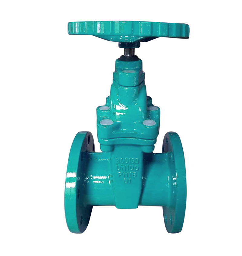 Resilient Seated non-rising Stem Gate Valve